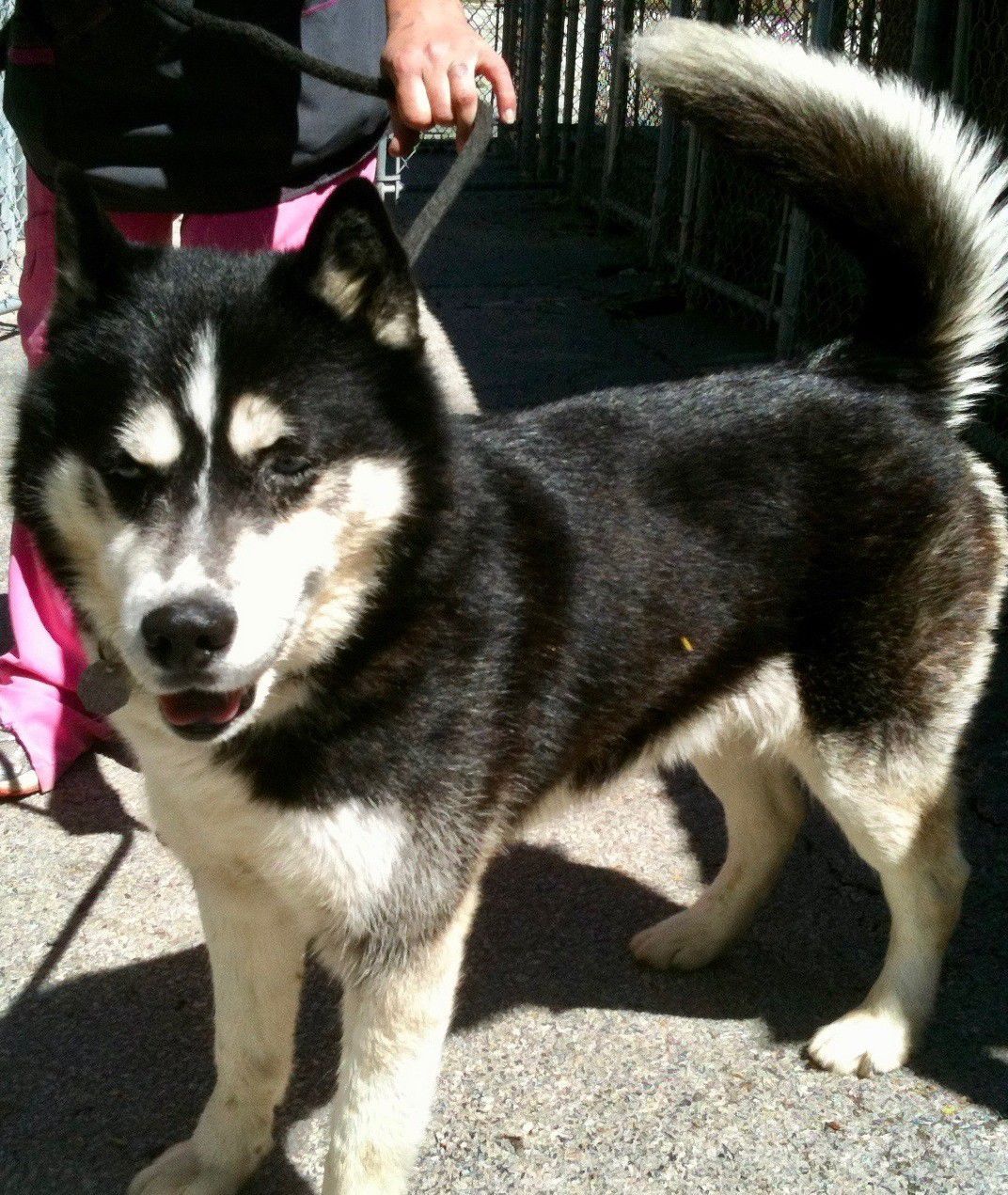 Jax